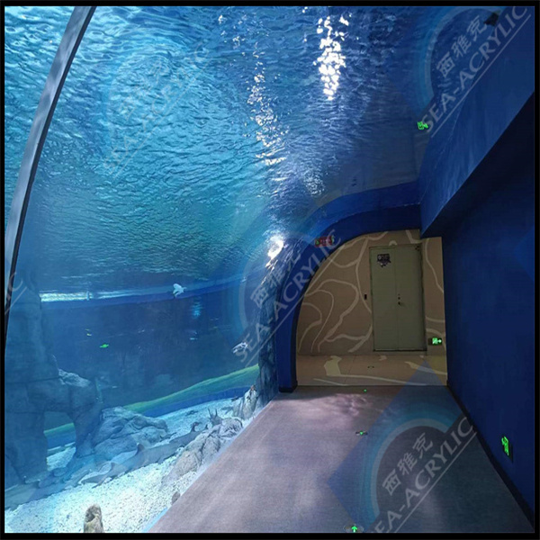 Bring a touch of elegance to your home with an acrylic tube fish tank
