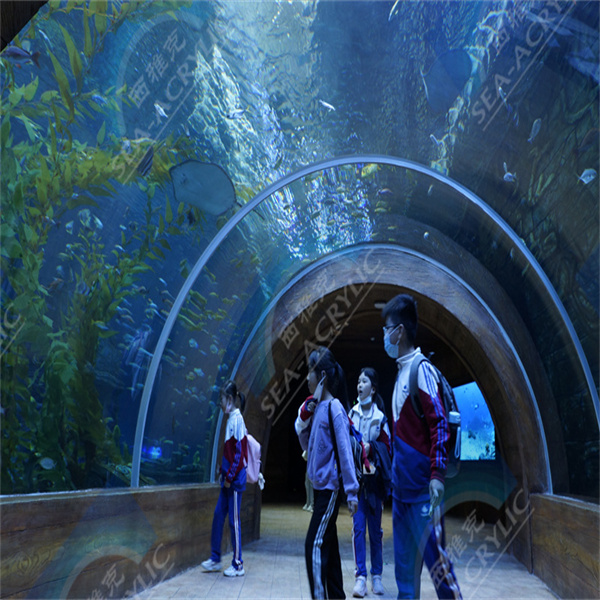 The Best Aquarium Tank Acrylic Brands for Any Budget