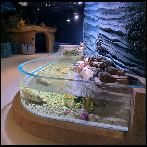 Bringen Sie ein Stück Meeresleben in Ihr Zuhause mit einem Acryl-Zylinder-Aquarium.