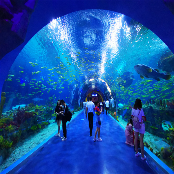 The benefits of an acrylic fish tank for your aquatic pets