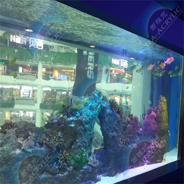Cons of Plexiglass Pool Installation: High Costs and Maintenance