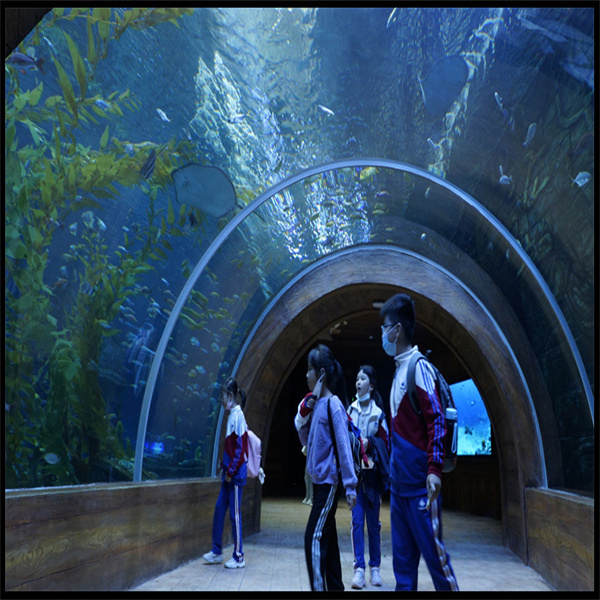 Wie man sein Acryl-Fisch-Aquarium richtig reinigt und wartet