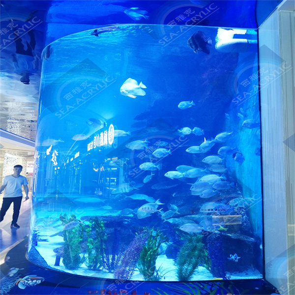 Why Acrylic is the Better Choice for Large Volume Aquarium Tanks