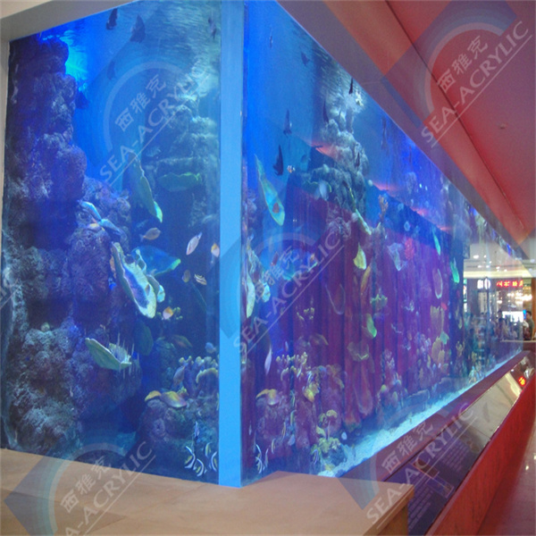 Giữ cho bể cá của bạn sạch sẽ và trong suốt như pha lê với chất liệu acrylic