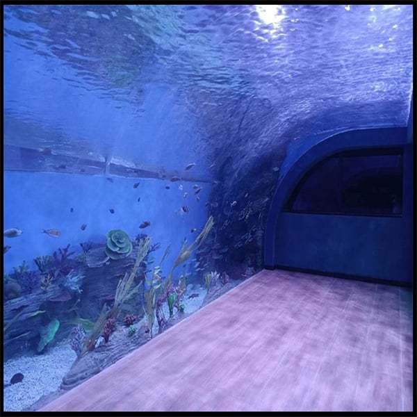 Dbaj o czystość i zdrowie swojego akwarium dzięki akrylowemu sumu aquarium