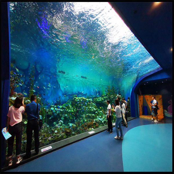 Odkryj korzyści z użycia akrylowego sumu aquarium w Twoim układzie
