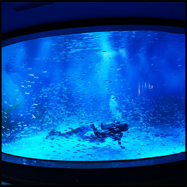 Wasserqualität in deinem Fischtank-Aquarium aufrechterhalten