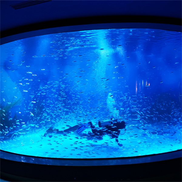 Ontwerp uw dromen aquarium met een op maat gemaakte rechthoekige visserytank