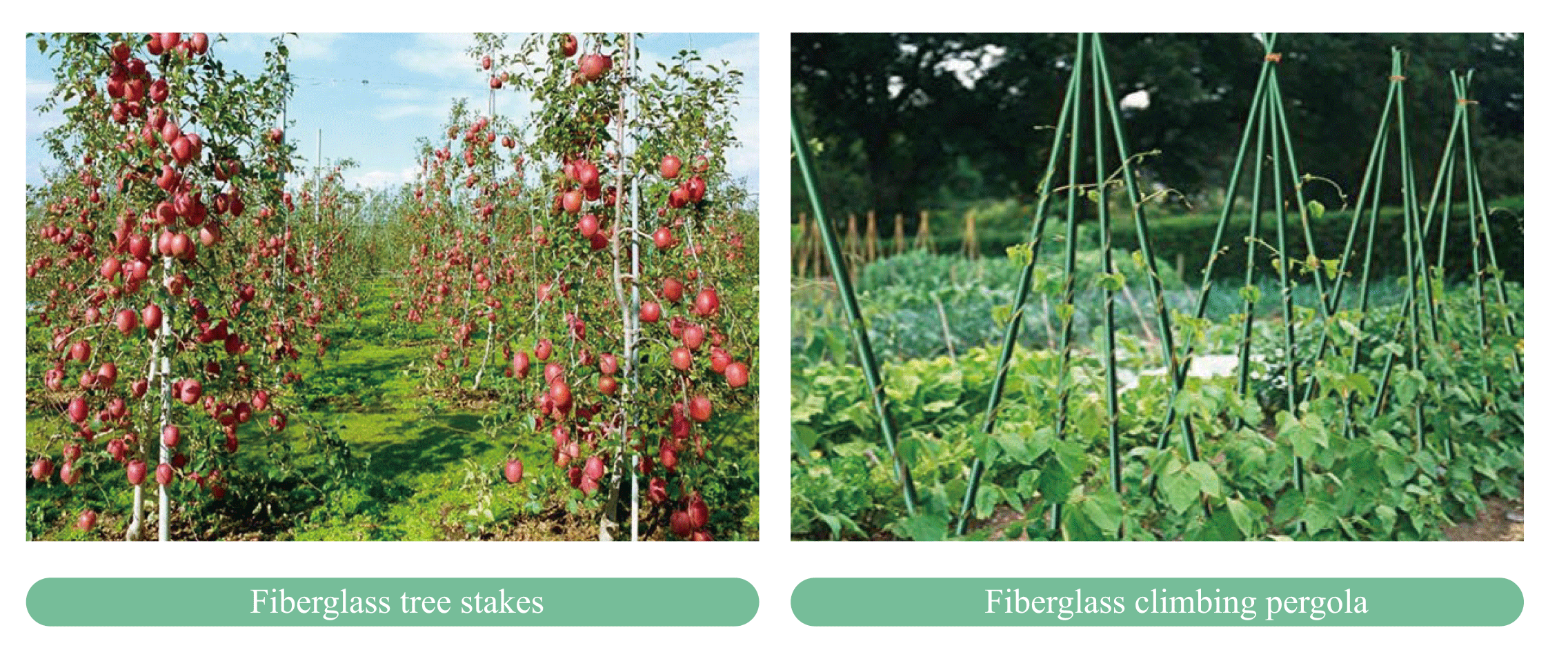 2 (1) Fiberglass Solid Rod Flexible Sticks manufacture