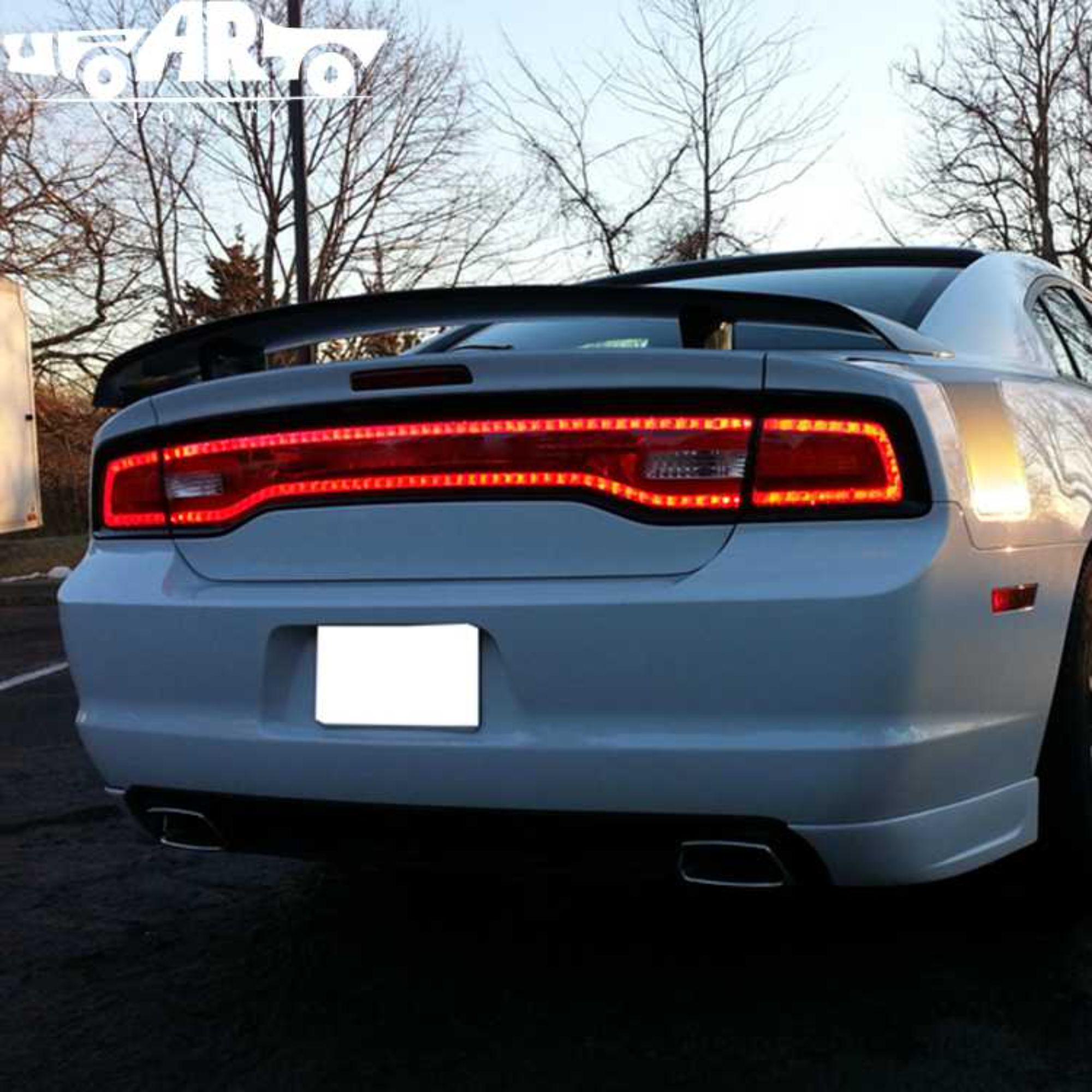 AR-Dodge-010 2011-2014 жылдардын Dodge Charger SRT8 үчүн Super Bee Фабрикалый Стильдин Артка Спортер