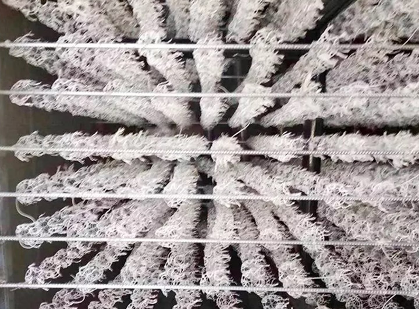 3.8.68