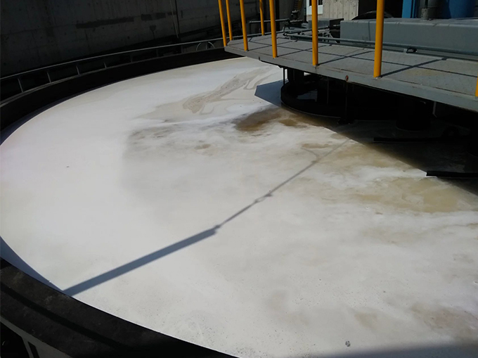 CQF DAF SYSTEM (Shallow dissolved air flotation machine ) manufacture
