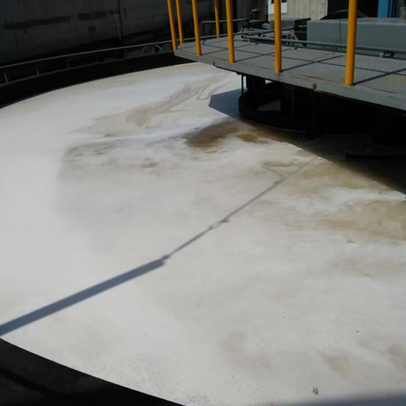 CQF DAF SYSTEM (Shallow dissolved air flotation machine )