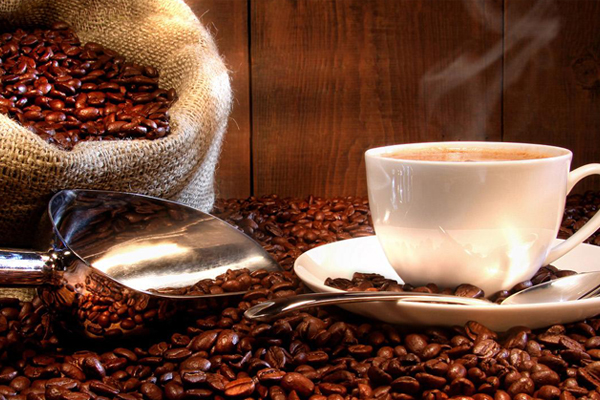 Kebudayaan Kopi
