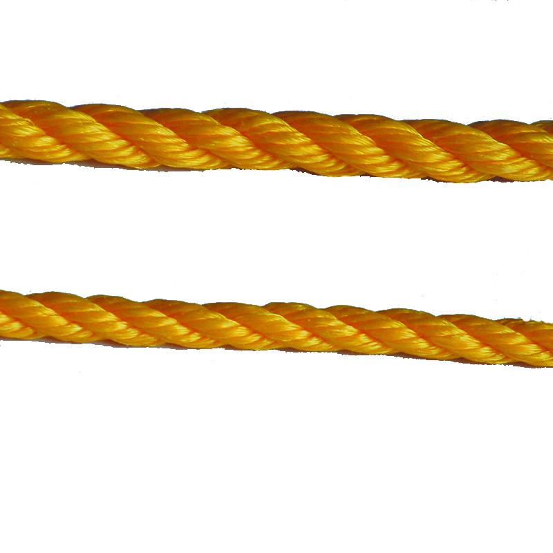 22091.jpg
