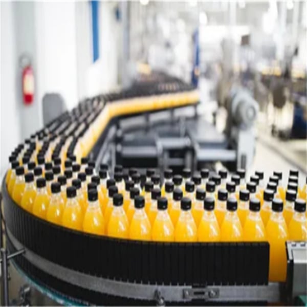 Versatile juice bottling machine for various bottle sizes