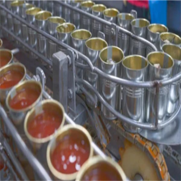 Versatile machine for filling ketchup into various container sizes