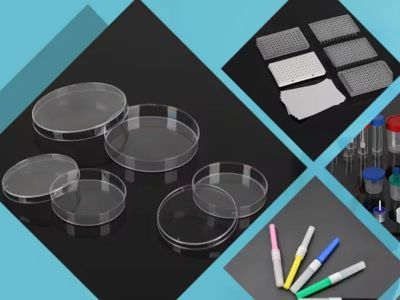 The Different Types of Petri Dishes and Their Uses