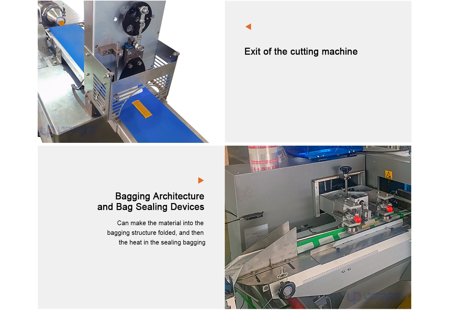 Dried Mango Extrusion cutting packaging line details