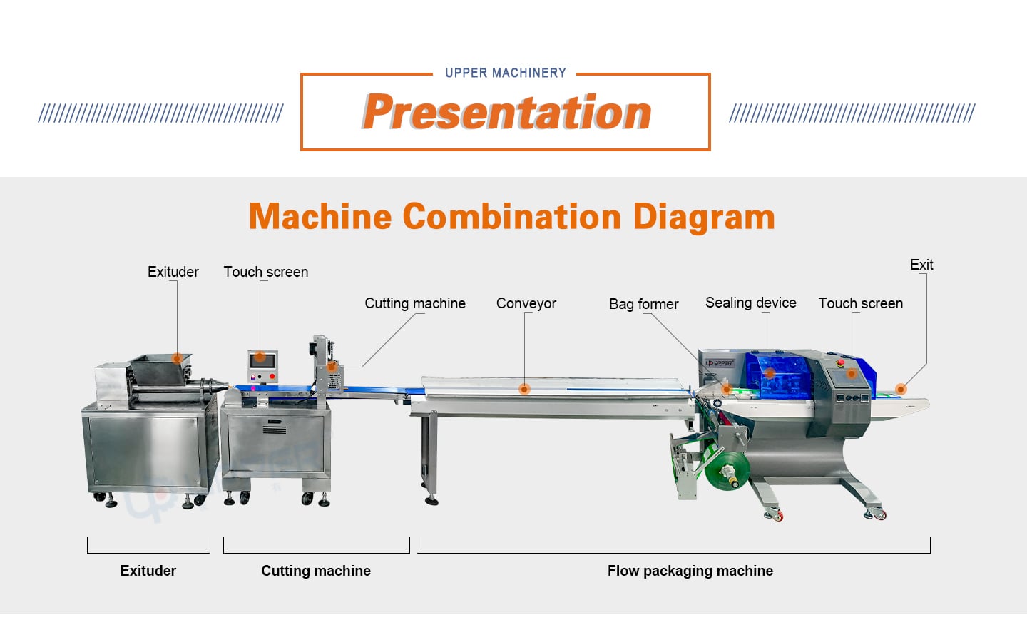 Dried Mango Extrusion cutting packaging line details