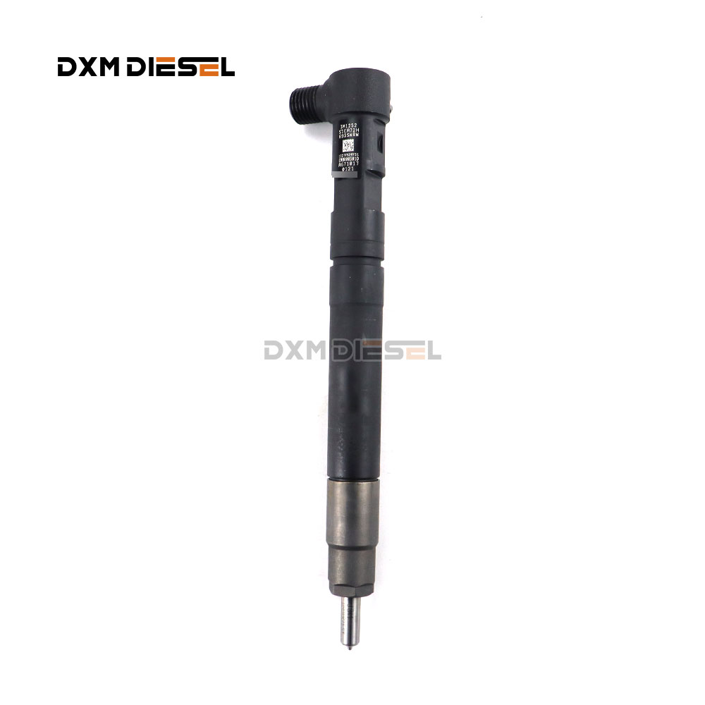 Original Del-phi Diesel common rail injector 6710170121 A6710170121 EMBR00301D factory