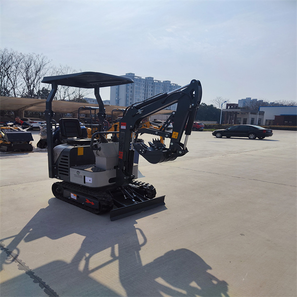Der L12 Mini Bagger