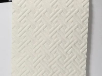 2026 Eco-Friendly Trends: TPE Laminated 2 Layers Fabric