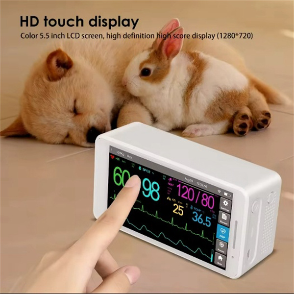 Intellegendum technologiam post electrocardiographum veterinarium