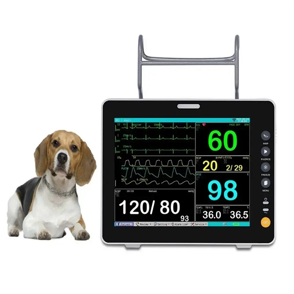 Quomodo electrocardiographus veterinarius monitorat sanitatem cordis in animalibus