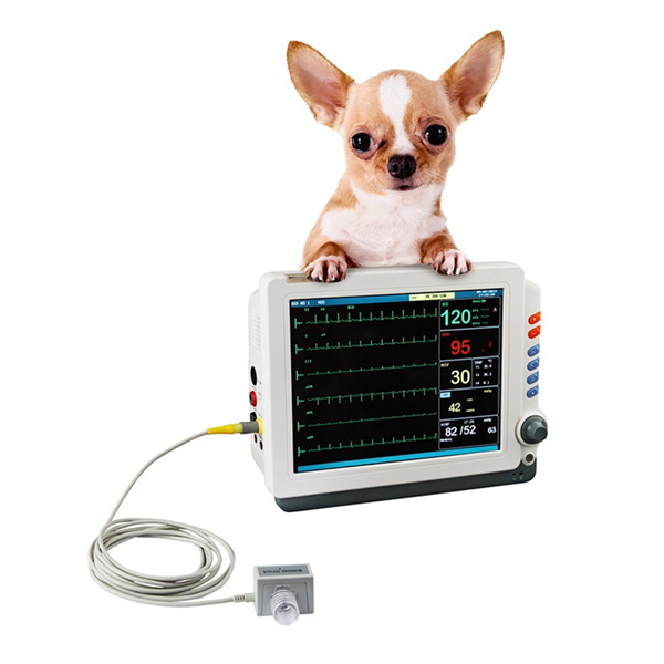 Quomodo monitoring signorum vitalium meliorem curam veterinariam praebet.