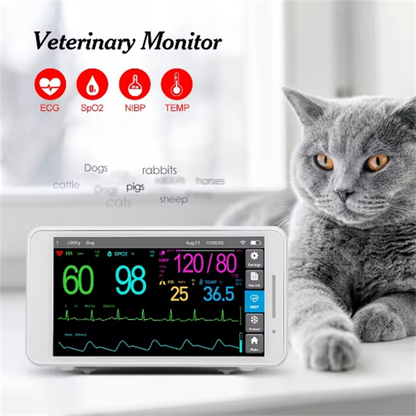 Utilitates usus electrocardiographi veterinarii in hospitalibus animalium