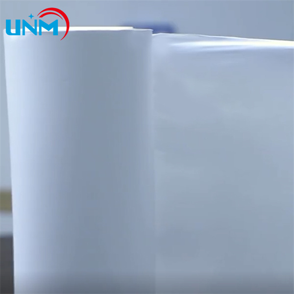 Conception des bâtiments et durabilité avec des pratiques vertes utilisant la membrane PTFE
