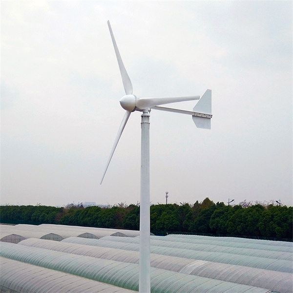 Exploring the potential of wind power generation systems