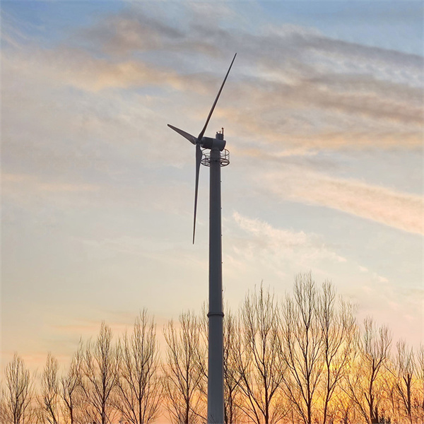 The environmental benefits of utilizing wind power generation systems