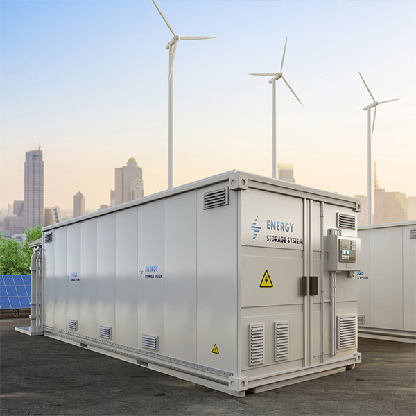 The Role of Battery Energy Storage Systems