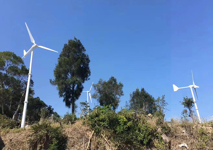 1KW 2KW 3KW 5KW 10KW Horizontal Wind Turbine supplier