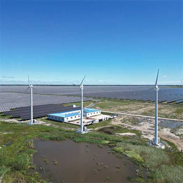 How Solar Panels and Wind Turbines Are Shaping the Energy Industry