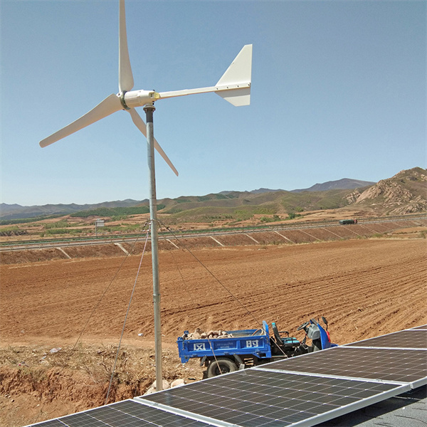Discover the Benefits of Solar Panels and Wind Turbines