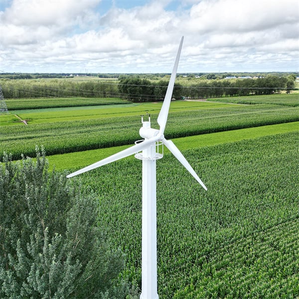 Memahami Efisiensi Biaya dari Turbin Angin 50kw