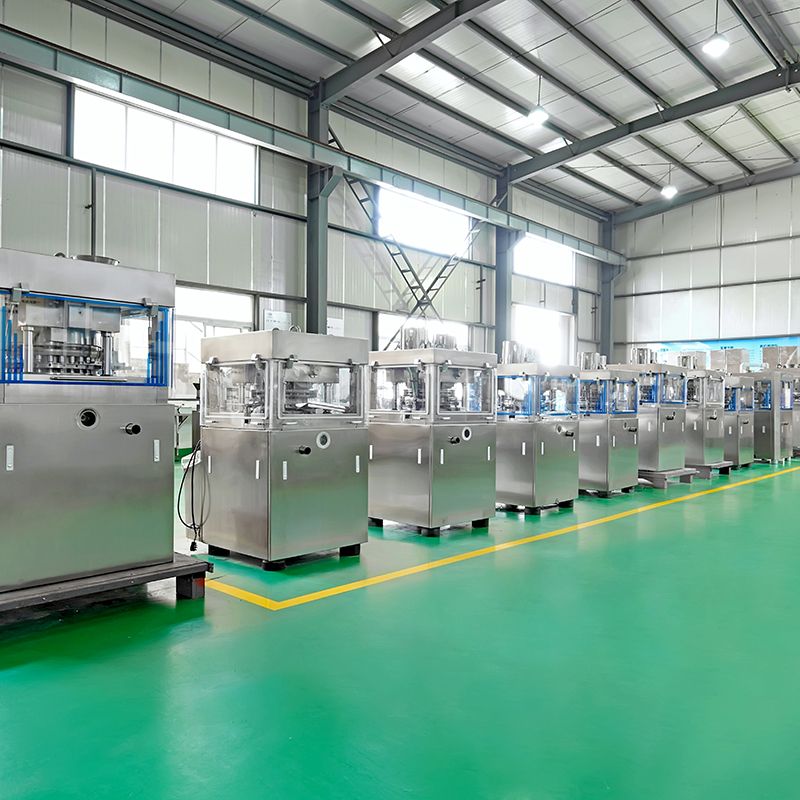 Common Faults and Troubleshooting Methods for Rotary Tablet Press from the Structural Point of View
