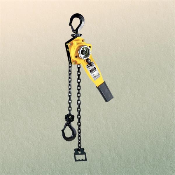 Unbeatable 5 Ton Chain Block Price for All Your Hoisting Requirements