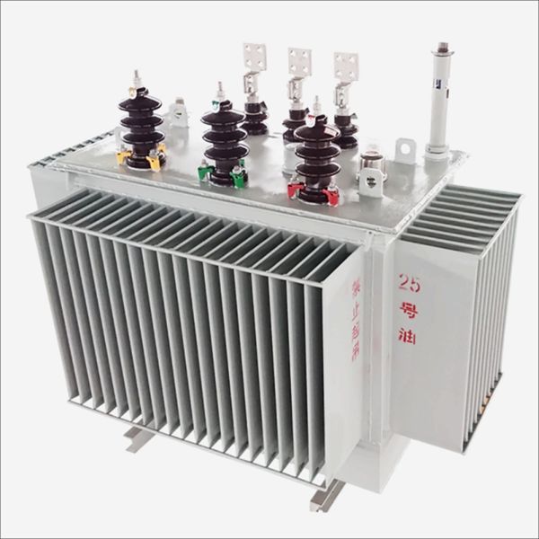 China's Transformer Story