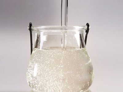 The Science Behind Perfecting Bubble Tea with High-Quality Ingredients