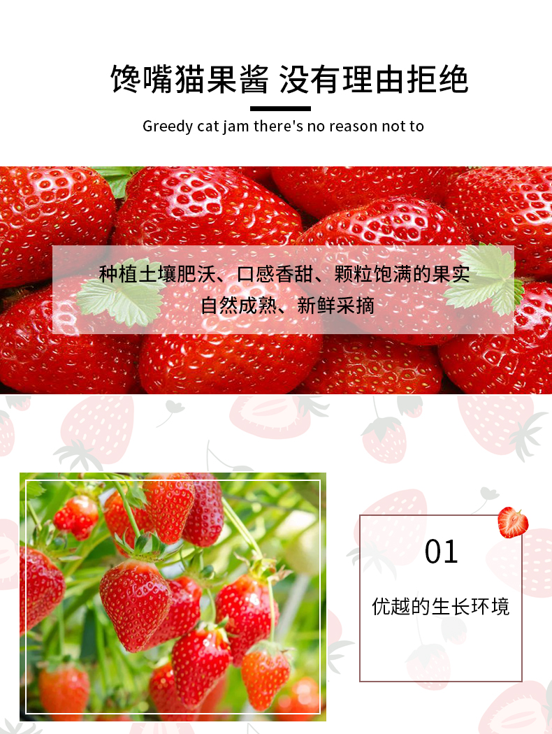Strawberry jam (5)