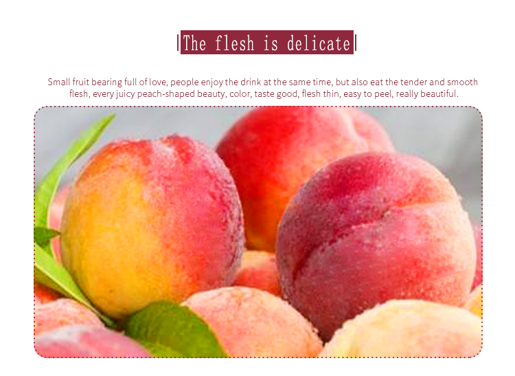 peach3 peach3