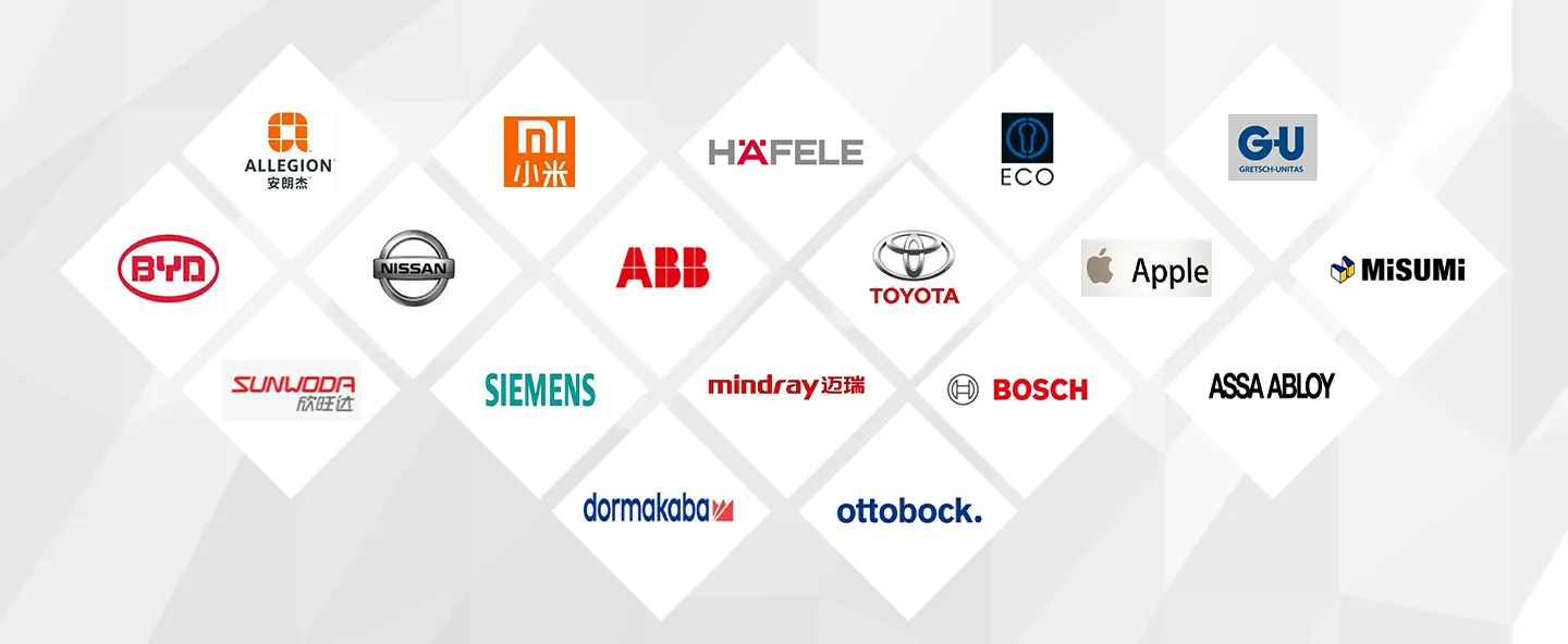 partner5