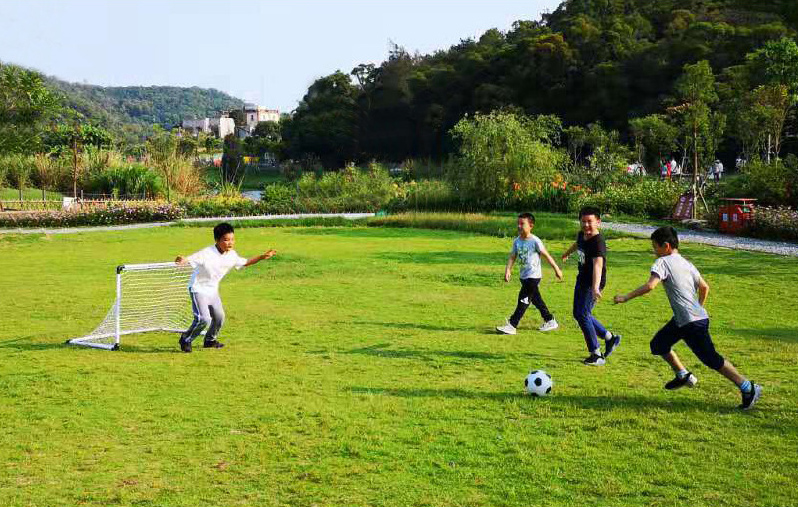 Custom logo mini professional folding portable football soccer goal net for kids training supplier