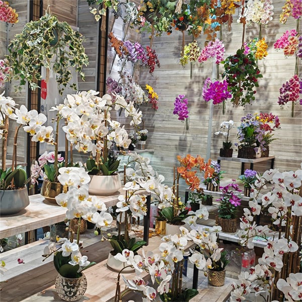 Mantenere l'Eleganza con Phalaenopsis Artificiali a Basso Manutenzione