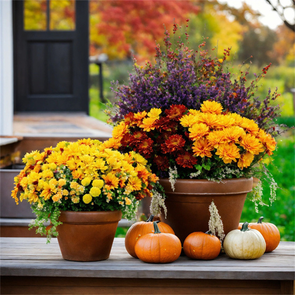Stylish and Trendy Decor Tips for Enhancing Your Home's Outdoor Living Area