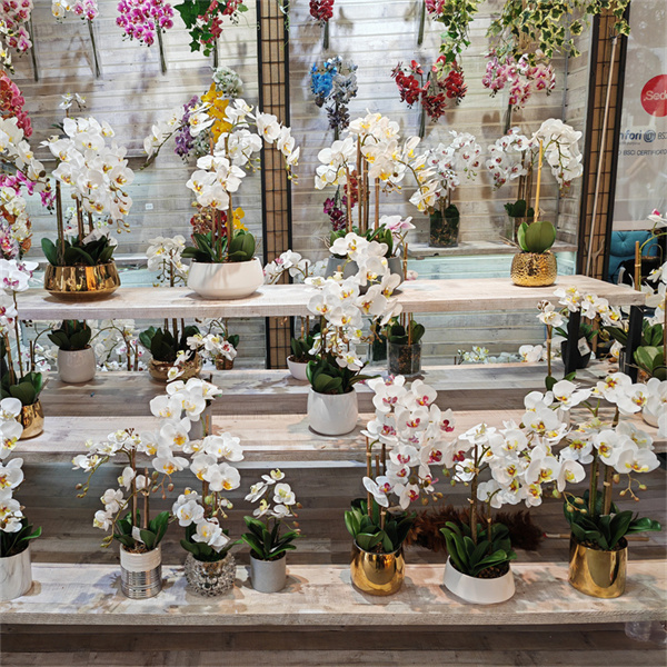 La Praticità delle Phalaenopsis Artificiali per l'Arredamento della Casa